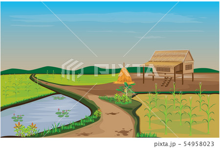 corn plant at countryside vector design 54958023