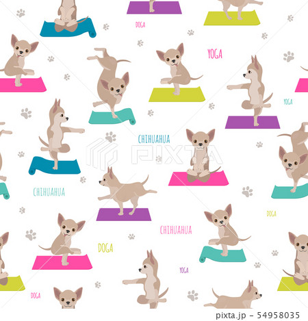 Yoga dogs poses and exercises. Chihuahua seamless Yoga dogs poses and exercises. Chihuahua seamless 54958035