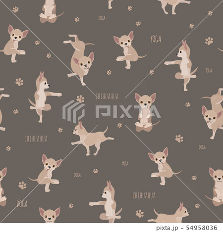 Yoga dogs poses and exercises. Chihuahua seamless Yoga dogs poses and exercises. Chihuahua seamless 54958036