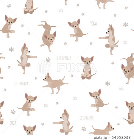 Yoga dogs poses and exercises. Chihuahua seamless 54958038