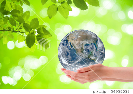 Woman hand holding planet earth globe. 54959055