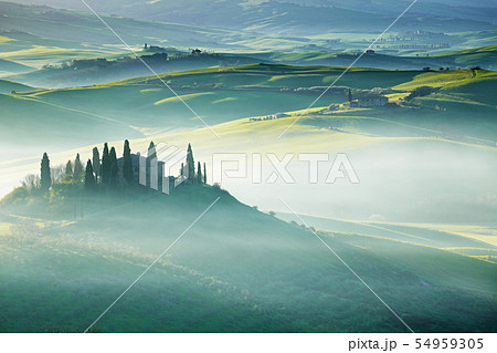 Tuscany, Italy - Landscape 54959305