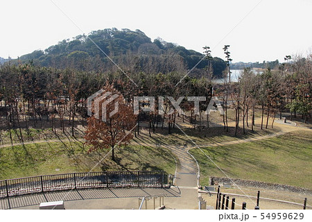 七観山古墳跡　ミニ展望台から見た　履中天皇陵古墳 54959629