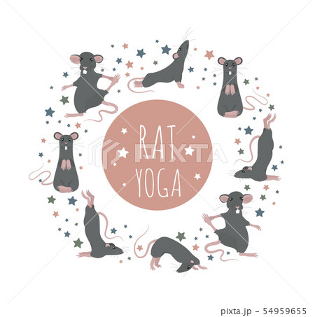 Rat Yoga Poses And Exercises Cute Cartoon Clipartのイラスト素材