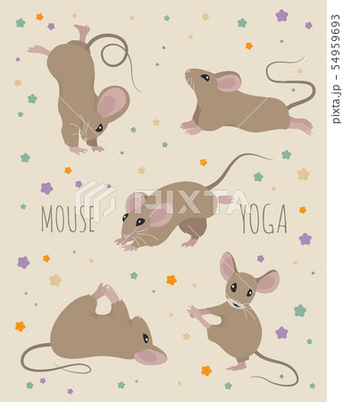 Mouse yoga poses and exercises. Cute cartoon 54959693