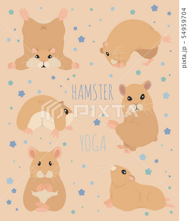 Hamsters Yoga Poses And Exercises Cute Cartoonのイラスト素材