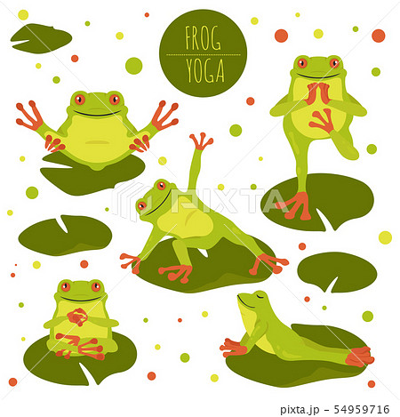 Frog Yoga Poses And Exercises Cute Cartoonのイラスト素材