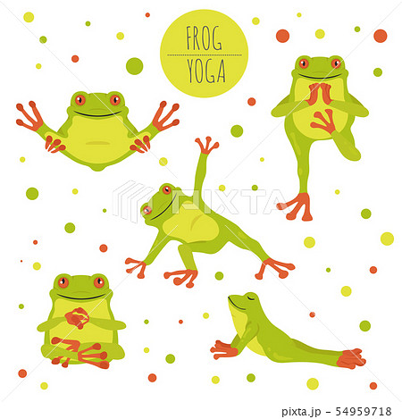 Frog yoga poses and exercises. Cute cartoon Frog yoga poses and exercises. Cute cartoon 54959718
