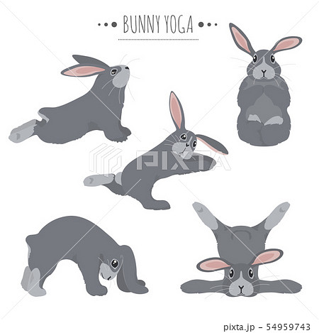 Bunny Yoga Poses And Exercises Cute Cartoonのイラスト素材