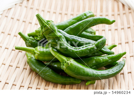 万願寺とうがらし 54960234