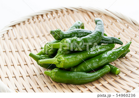 万願寺とうがらし 54960236