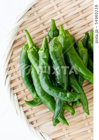 万願寺とうがらし 万願寺とうがらし 54960238