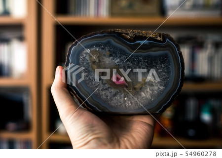 Image photo 54960278