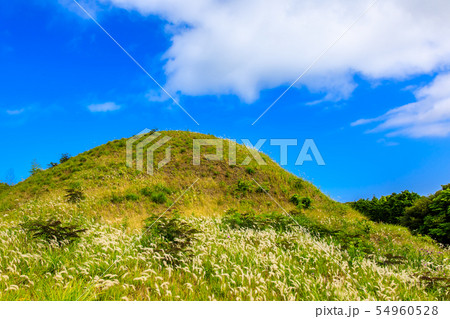 双六古墳　【長崎県壱岐市】 54960528