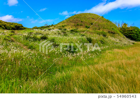 双六古墳　【長崎県壱岐市】 54960543