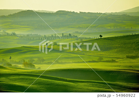 Countryside , Tuscany, Italy 54960922