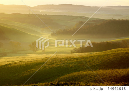 morning on countryside in Tuscany morning on countryside in Tuscany 54961018