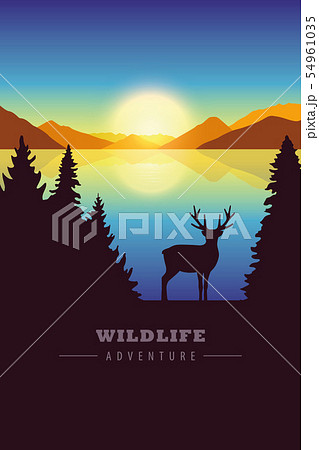 wildlife adventure elk in the wilderness by the lake at sunset 54961035