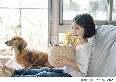 犬のいる暮らし 女の子の写真素材