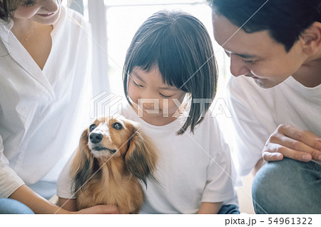 犬のいる暮らし 家族 犬のいる暮らし 家族 54961322