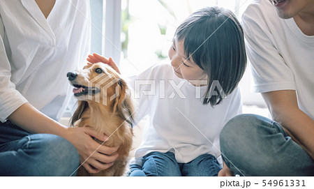 犬のいる暮らし　家族 54961331