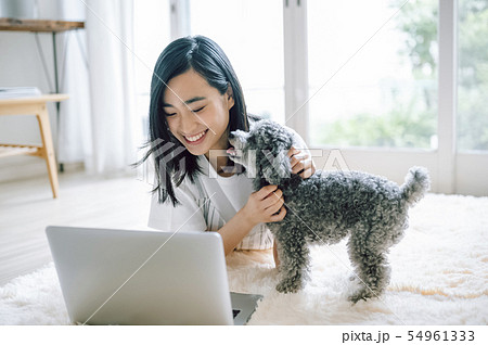 犬のいる暮らし 女性 ビジネス 犬のいる暮らし 女性 ビジネス 54961333