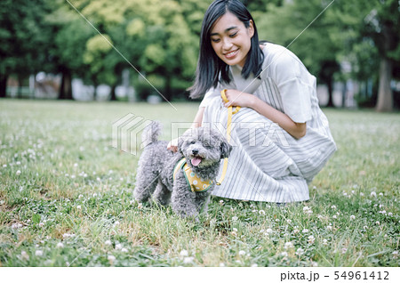 犬のいる暮らし 女性 犬のいる暮らし 女性 54961412