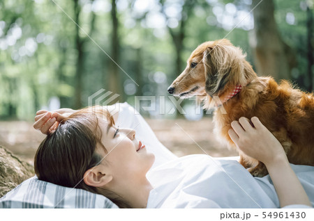 犬のいる暮らし 女性 犬のいる暮らし 女性 54961430