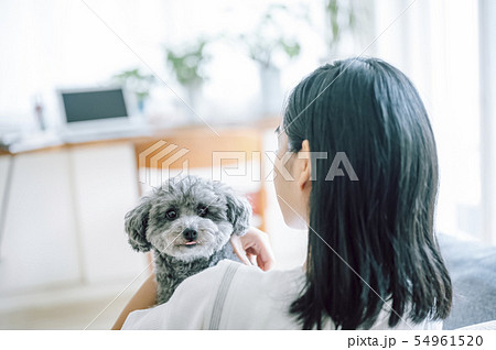 犬のいる暮らし 女性 犬のいる暮らし 女性 54961520