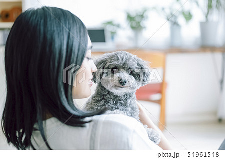犬のいる暮らし 女性 犬のいる暮らし 女性 54961548