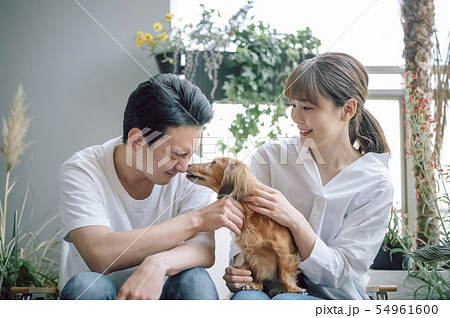 犬のいる暮らし 夫婦 カップル 犬のいる暮らし 夫婦 カップル 54961600