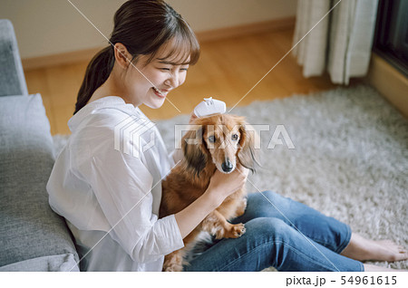 犬のいる暮らし 女性の写真素材