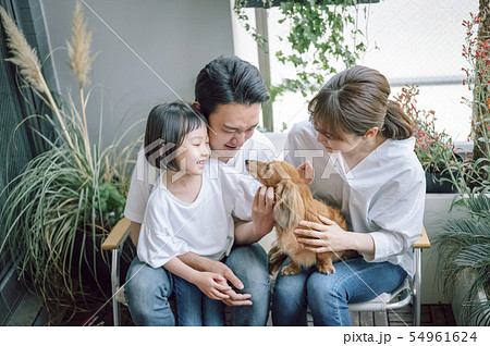 犬のいる暮らし 家族 犬のいる暮らし 家族 54961624