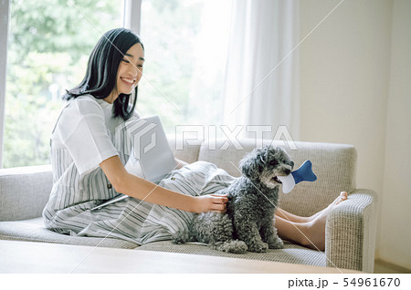 犬のいる暮らし 女性 ビジネス 犬のいる暮らし 女性 ビジネス 54961670