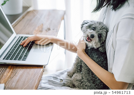 犬のいる暮らし　女性　ビジネス 54961713