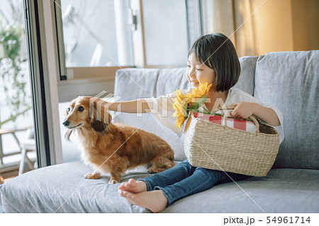 犬のいる暮らし 女の子の写真素材