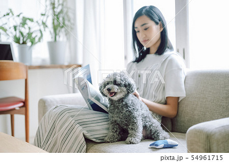 犬のいる暮らし　女性 54961715