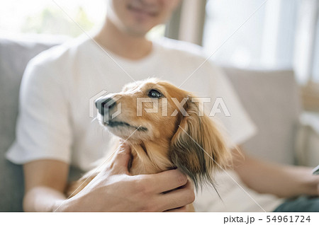 犬のいる暮らし 男性 犬のいる暮らし 男性 54961724