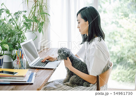 犬のいる暮らし　女性　ビジネス 54961730
