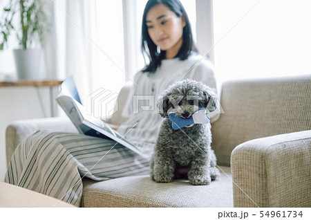 犬のいる暮らし 女性 犬のいる暮らし 女性 54961734