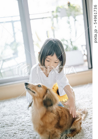 犬のいる暮らし　女の子 54961736