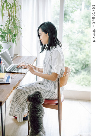 犬のいる暮らし　女性　ビジネス 54961761