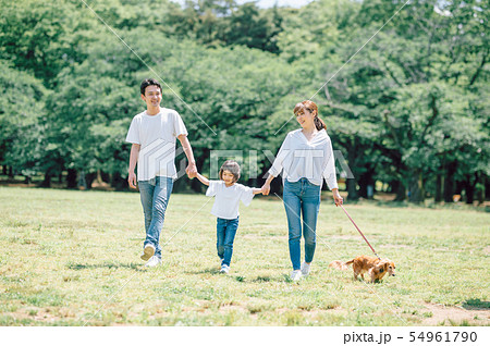 犬のいる暮らし　家族 54961790