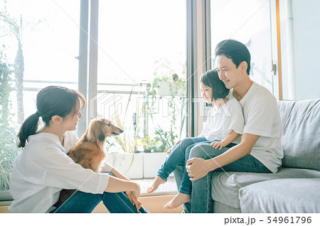 犬のいる暮らし 女性 ビジネス 犬のいる暮らし 女性 ビジネス 54961796