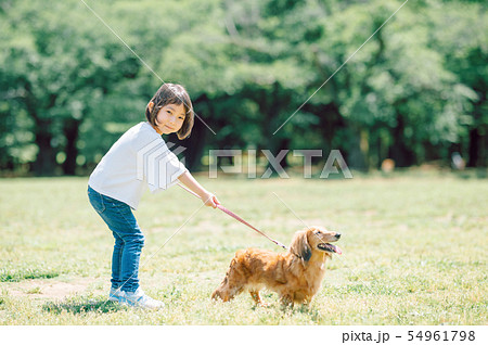 犬のいる暮らし 女の子の写真素材