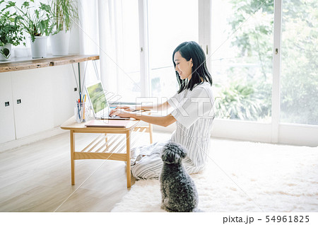 犬のいる暮らし 女性 ビジネス 犬のいる暮らし 女性 ビジネス 54961825