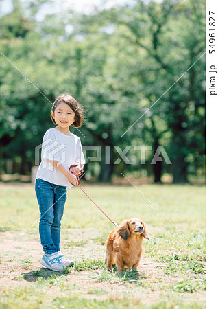 犬のいる暮らし 女の子の写真素材