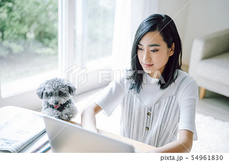 犬のいる暮らし　女性　ビジネス 54961830