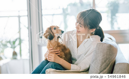 犬のいる暮らし 女性の写真素材