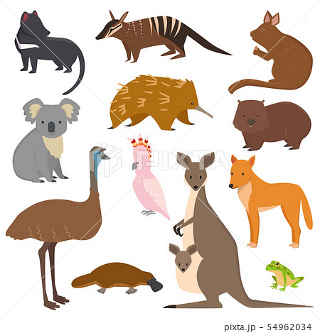 Australian wild animals cartoon collection australia popular animals like platypus, koala, kangaroo 54962034
